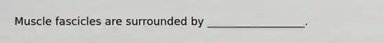 Muscle fascicles are surrounded by __________________.