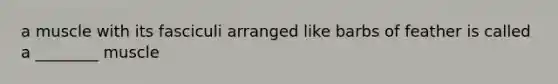 a muscle with its fasciculi arranged like barbs of feather is called a ________ muscle