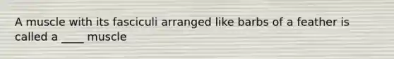 A muscle with its fasciculi arranged like barbs of a feather is called a ____ muscle