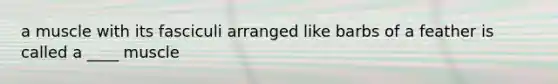 a muscle with its fasciculi arranged like barbs of a feather is called a ____ muscle