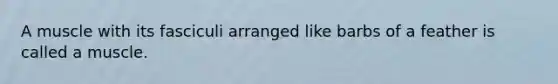 A muscle with its fasciculi arranged like barbs of a feather is called a muscle.