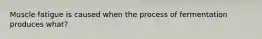 Muscle fatigue is caused when the process of fermentation produces what?