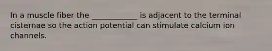 In a muscle fiber the ____________ is adjacent to the terminal cisternae so the action potential can stimulate calcium ion channels.