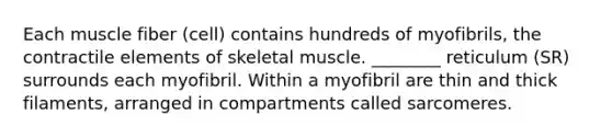 Each muscle fiber (cell) contains hundreds of myofibrils, the contractile elements of skeletal muscle. ________ reticulum (SR) surrounds each myofibril. Within a myofibril are thin and thick filaments, arranged in compartments called sarcomeres.