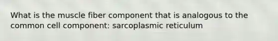 What is the muscle fiber component that is analogous to the common cell component: sarcoplasmic reticulum