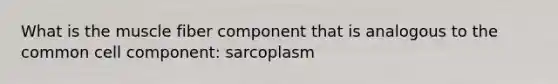 What is the muscle fiber component that is analogous to the common cell component: sarcoplasm