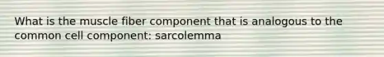 What is the muscle fiber component that is analogous to the common cell component: sarcolemma