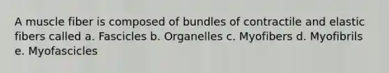 A muscle fiber is composed of bundles of contractile and elastic fibers called a. Fascicles b. Organelles c. Myofibers d. Myofibrils e. Myofascicles