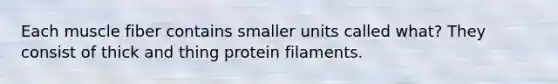 Each muscle fiber contains smaller units called what? They consist of thick and thing protein filaments.