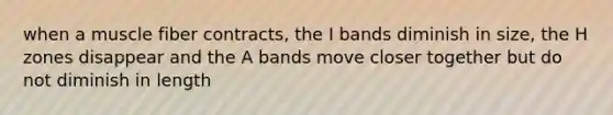 when a muscle fiber contracts, the I bands diminish in size, the H zones disappear and the A bands move closer together but do not diminish in length