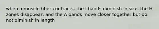 when a muscle fiber contracts, the I bands diminish in size, the H zones disappear, and the A bands move closer together but do not diminish in length