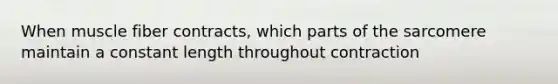 When muscle fiber contracts, which parts of the sarcomere maintain a constant length throughout contraction