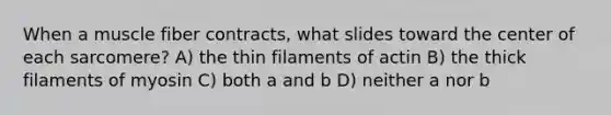 When a muscle fiber contracts, what slides toward the center of each sarcomere? A) the thin filaments of actin B) the thick filaments of myosin C) both a and b D) neither a nor b