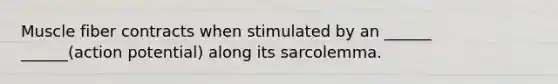 Muscle fiber contracts when stimulated by an ______ ______(action potential) along its sarcolemma.