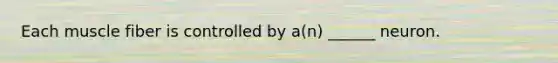 Each muscle fiber is controlled by a(n) ______ neuron.