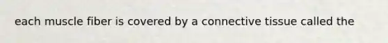 each muscle fiber is covered by a <a href='https://www.questionai.com/knowledge/kYDr0DHyc8-connective-tissue' class='anchor-knowledge'>connective tissue</a> called the