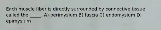 Each muscle fiber is directly surrounded by connective tissue called the _____. A) perimysium B) fascia C) endomysium D) epimysium