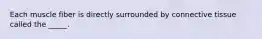 Each muscle fiber is directly surrounded by connective tissue called the _____.