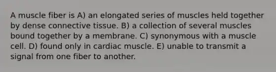 A muscle fiber is A) an elongated series of muscles held together by dense <a href='https://www.questionai.com/knowledge/kYDr0DHyc8-connective-tissue' class='anchor-knowledge'>connective tissue</a>. B) a collection of several muscles bound together by a membrane. C) synonymous with a muscle cell. D) found only in cardiac muscle. E) unable to transmit a signal from one fiber to another.