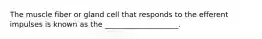 The muscle fiber or gland cell that responds to the efferent impulses is known as the ____________________.