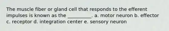 The muscle fiber or gland cell that responds to the efferent impulses is known as the __________. a. motor neuron b. effector c. receptor d. integration center e. sensory neuron