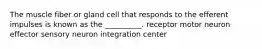 The muscle fiber or gland cell that responds to the efferent impulses is known as the __________. receptor motor neuron effector sensory neuron integration center