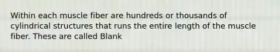 Within each muscle fiber are hundreds or thousands of cylindrical structures that runs the entire length of the muscle fiber. These are called Blank