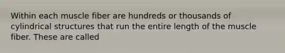 Within each muscle fiber are hundreds or thousands of cylindrical structures that run the entire length of the muscle fiber. These are called