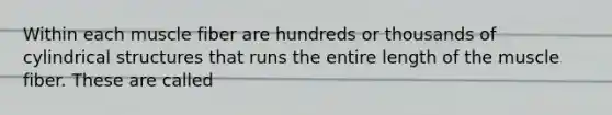 Within each muscle fiber are hundreds or thousands of cylindrical structures that runs the entire length of the muscle fiber. These are called