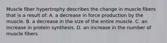Muscle fiber hypertrophy describes the change in muscle fibers that is a result of: A. a decrease in force production by the muscle. B. a decrease in the size of the entire muscle. C. an increase in protein synthesis. D. an increase in the number of muscle fibers
