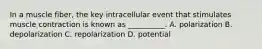 In a muscle fiber, the key intracellular event that stimulates muscle contraction is known as __________. A. polarization B. depolarization C. repolarization D. potential