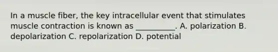 In a muscle fiber, the key intracellular event that stimulates muscle contraction is known as __________. A. polarization B. depolarization C. repolarization D. potential