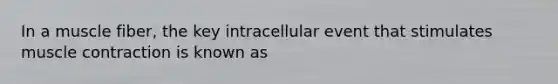 In a muscle fiber, the key intracellular event that stimulates muscle contraction is known as