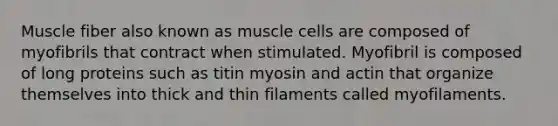 Muscle fiber also known as muscle cells are composed of myofibrils that contract when stimulated. Myofibril is composed of long proteins such as titin myosin and actin that organize themselves into thick and thin filaments called myofilaments.