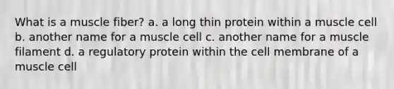 What is a muscle fiber? a. a long thin protein within a muscle cell b. another name for a muscle cell c. another name for a muscle filament d. a regulatory protein within the cell membrane of a muscle cell