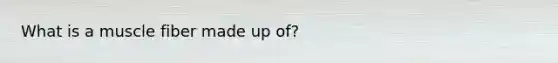 What is a muscle fiber made up of?