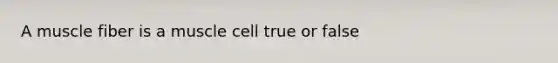 A muscle fiber is a muscle cell true or false
