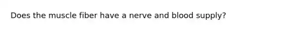 Does the muscle fiber have a nerve and blood supply?