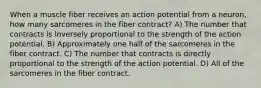 When a muscle fiber receives an action potential from a neuron, how many sarcomeres in the fiber contract? A) The number that contracts is inversely proportional to the strength of the action potential. B) Approximately one half of the sarcomeres in the fiber contract. C) The number that contracts is directly proportional to the strength of the action potential. D) All of the sarcomeres in the fiber contract.