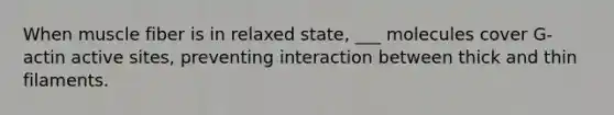 When muscle fiber is in relaxed state, ___ molecules cover G-actin active sites, preventing interaction between thick and thin filaments.