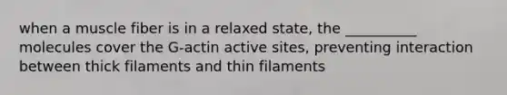 when a muscle fiber is in a relaxed state, the __________ molecules cover the G-actin active sites, preventing interaction between thick filaments and thin filaments