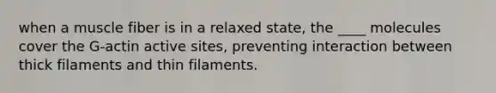 when a muscle fiber is in a relaxed state, the ____ molecules cover the G-actin active sites, preventing interaction between thick filaments and thin filaments.