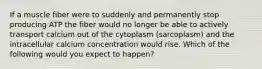 If a muscle fiber were to suddenly and permanently stop producing ATP the fiber would no longer be able to actively transport calcium out of the cytoplasm (sarcoplasm) and the intracellular calcium concentration would rise. Which of the following would you expect to happen?