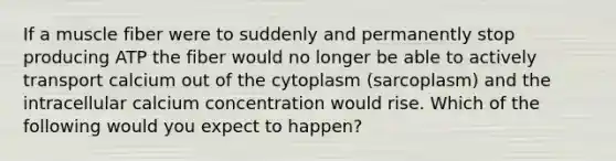 If a muscle fiber were to suddenly and permanently stop producing ATP the fiber would no longer be able to actively transport calcium out of the cytoplasm (sarcoplasm) and the intracellular calcium concentration would rise. Which of the following would you expect to happen?