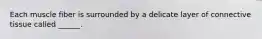 Each muscle fiber is surrounded by a delicate layer of connective tissue called ______.