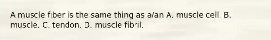 A muscle fiber is the same thing as a/an A. muscle cell. B. muscle. C. tendon. D. muscle fibril.