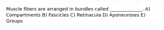 Muscle fibers are arranged in bundles called ______________. A) Compartments B) Fascicles C) Retinacula D) Aponeuroses E) Groups