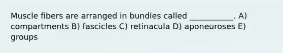 Muscle fibers are arranged in bundles called ___________. A) compartments B) fascicles C) retinacula D) aponeuroses E) groups