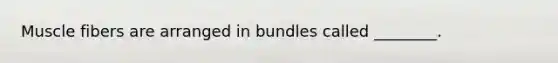 Muscle fibers are arranged in bundles called ________.