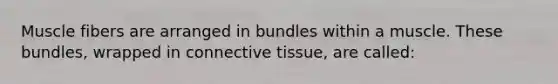 Muscle fibers are arranged in bundles within a muscle. These bundles, wrapped in connective tissue, are called: